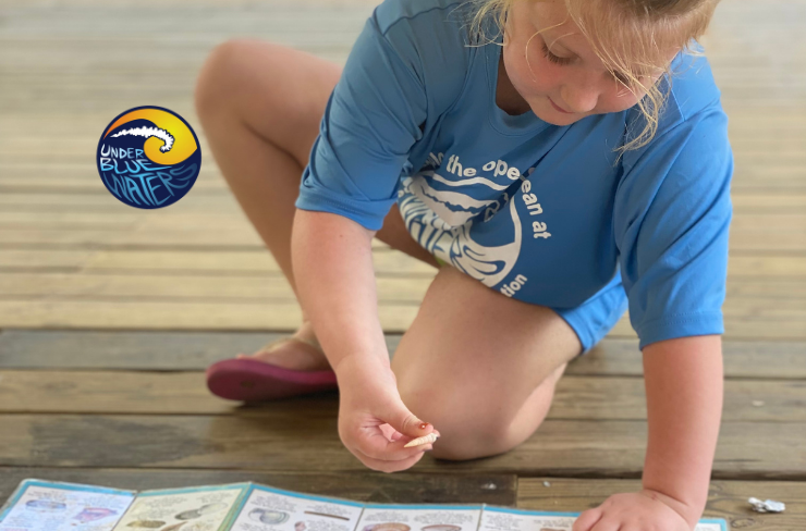 Hands-on marine science activity