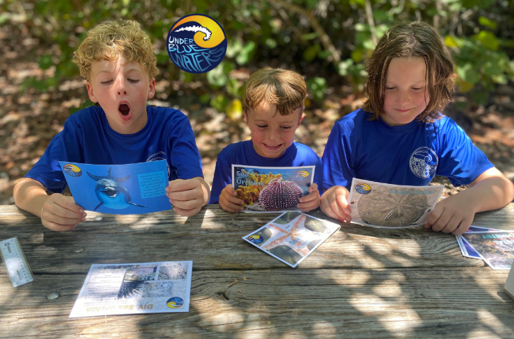 Child enjoying an Under Blue Waters marine science adventure