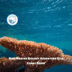 Coral Reefs- Kids Marine Biology Adventure Kit