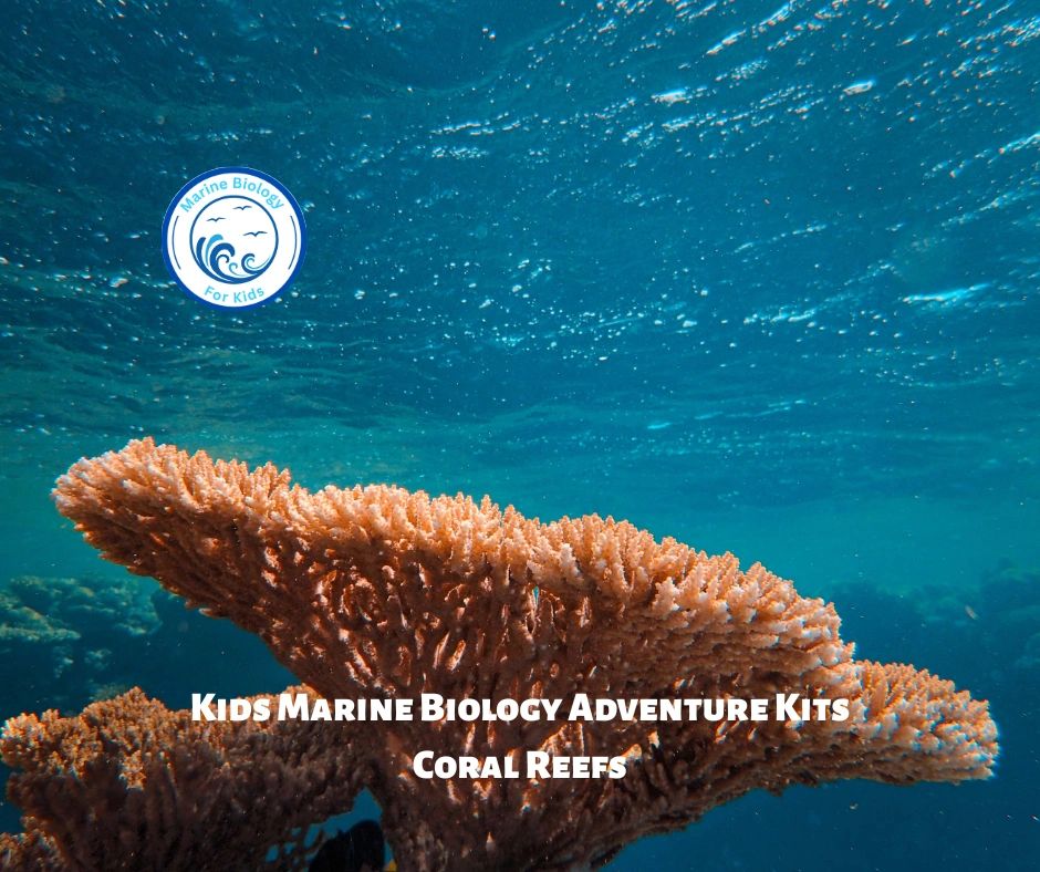 Coral Reefs- Kids Marine Biology Adventure Kit