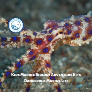 Dangerous Marine Life- Kids Marine Biology Adventure Kit