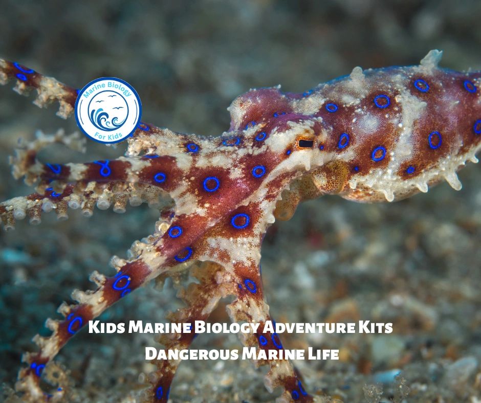 Dangerous Marine Life- Kids Marine Biology Adventure Kit