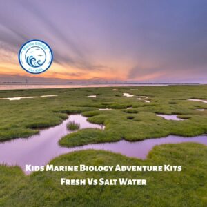 Fresh Water Vs Saltwater- Kids Marine Biology Adventure Kit