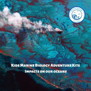 Impacts on the Ocean- Kids Marine Biology Adventure Kit