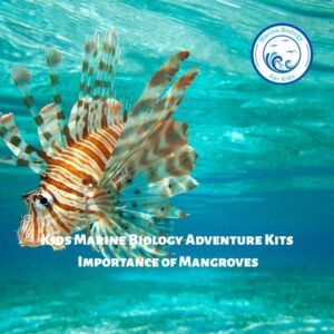 Invasion Under Sea- Kids Marine Biology Adventure Kit