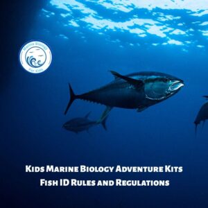 Fish ID, Rules and Regulations- Kids Marine Biology Adventure Kit