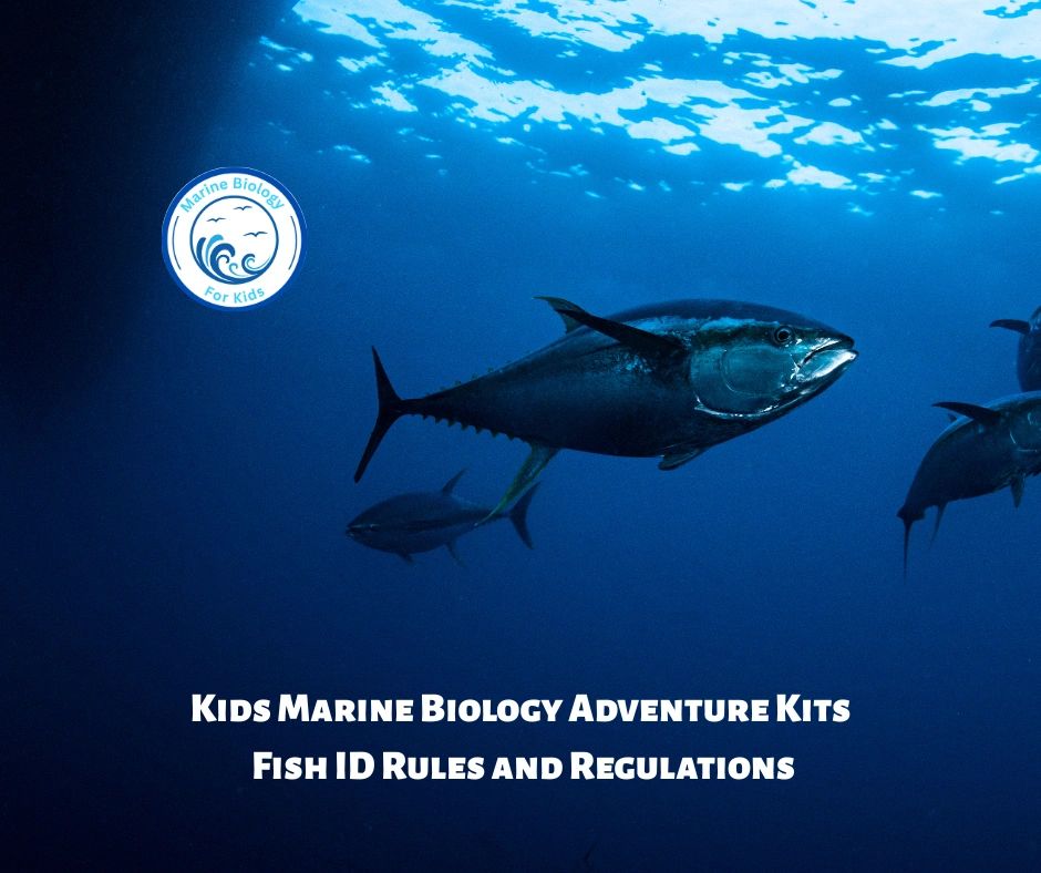 Fish ID, Rules and Regulations- Kids Marine Biology Adventure Kit