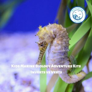 Invert Vs Vert- Kids Marine Biology Adventure Kit