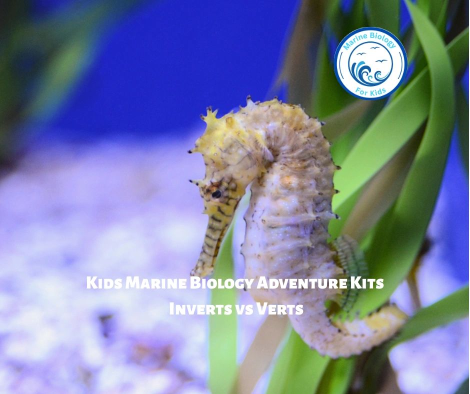 Invert Vs Vert- Kids Marine Biology Adventure Kit