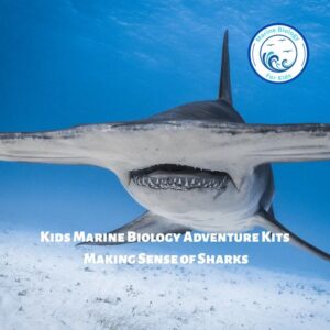 Making Sense of Sharks- Kids Marine Biology Adventure Kit