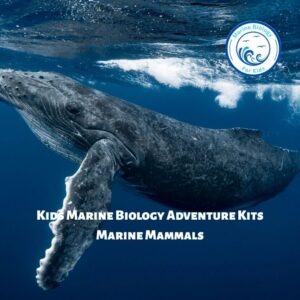 Marine Mammals- Kids Marine Biology Adventure Kit