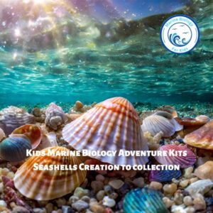 Seashells: Creation to Collection- Kids Marine Biology Adventure Kit