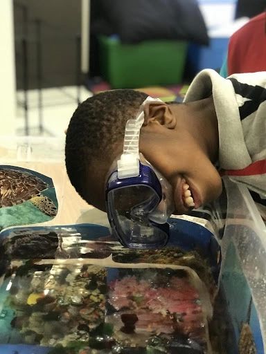 Jr. Marine Biology Subscription Kits - Image 4