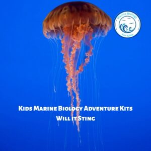 Will It Sting?- Kids Marine Biology Adventure Kit