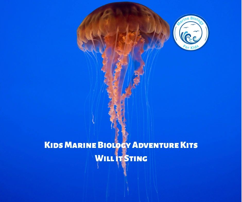Will It Sting?- Kids Marine Biology Adventure Kit