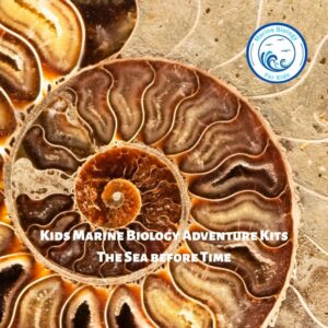 The Sea Before Time- Kids Marine Biology Adventure Kit