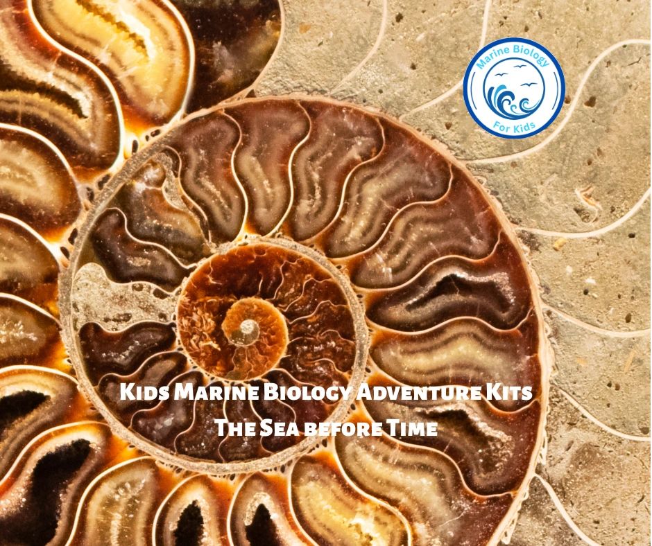 The Sea Before Time- Kids Marine Biology Adventure Kit