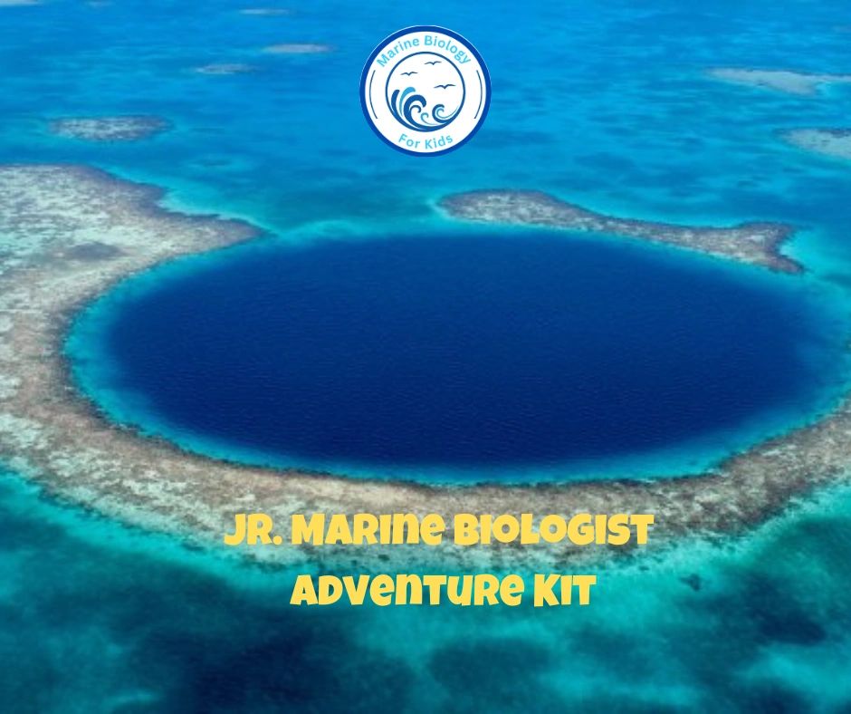 Mother Nature's Recipe: Climate- Kids Marine Biology Adventure Kit