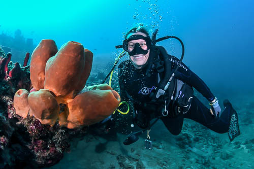 Coral Reef Explorers