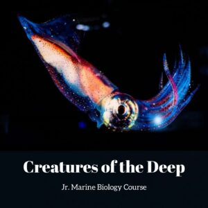 Creatures of the Deep lesson pack cover for printable deep sea activities for kids from the Jr. Marine Biology Course