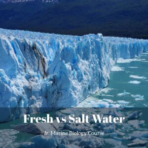 Fresh Water vs. Salt Water lesson pack cover for printable salt water experiments for kids from the Jr. Marine Biology Course