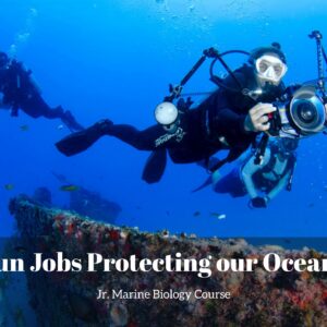 Fun Jobs Protecting Our Oceans lesson pack cover for printable ocean jobs for kids from the Jr. Marine Biology Course