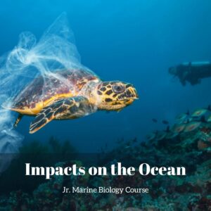 Impacts on the Ocean lesson pack cover for printable ocean pollution activities for kids from the Jr. Marine Biology Course