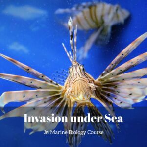 Invasion Under the Sea lesson pack cover for printable invasive species activities for kids from the Jr. Marine Biology Course