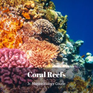 Colorful coral reef cover for printable coral reef activities for kids from the Jr. Marine Biology Course