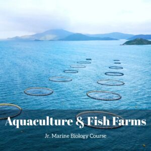 Aquaculture lesson pack cover for printable aquaculture activities for kids from the Jr. Marine Biology Course