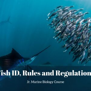 Fish ID, Rules & Regulations lesson pack cover for printable fish identification activities for kids from the Jr. Marine Biology Course