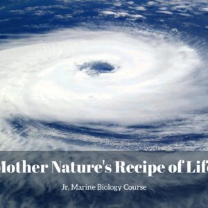 Mother Nature's Recipe of Life lesson pack cover for printable ocean food web activities for kids from the Jr. Marine Biology Course