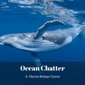 Ocean Chatter, Communicating Underwater lesson pack cover for printable ocean sound activities for kids from the Jr. Marine Biology Course