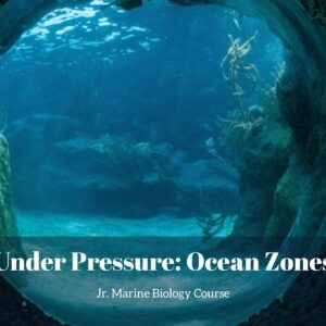 Under Pressure, Ocean Zones lesson pack cover for printable ocean zones activities for kids from the Jr. Marine Biology Course