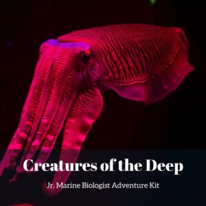 Creatures of the Deep- Kids Marine Biology Adventure Kit
