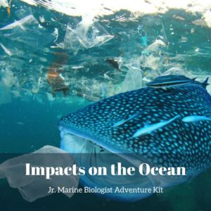 Impacts on the Ocean- Kids Marine Biology Adventure Kit