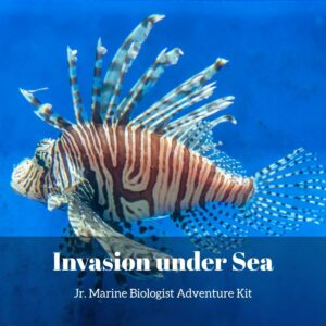 Invasion Under Sea- Kids Marine Biology Adventure Kit