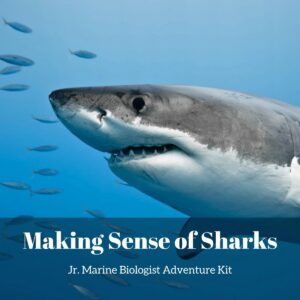 Making Sense of Sharks- Kids Marine Biology Adventure Kit