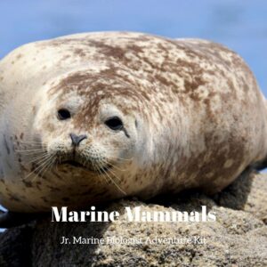 Marine Mammals- Kids Marine Biology Adventure Kit