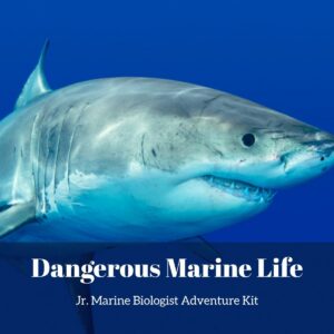Dangerous Marine Life- Kids Marine Biology Adventure Kit