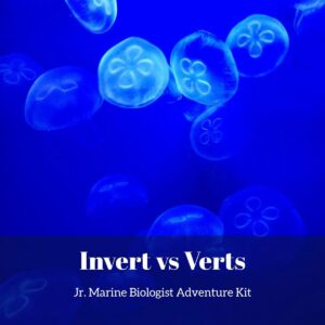 Invert Vs Vert- Kids Marine Biology Adventure Kit