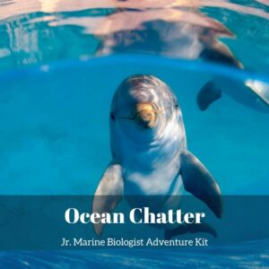 Ocean Chatter: Communicating Under Water- Kids Marine Biology Adventure Kit