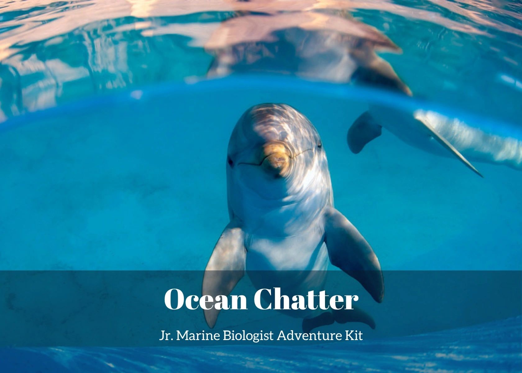 Ocean Chatter: Communicating Under Water- Kids Marine Biology Adventure Kit