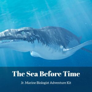 The Sea Before Time- Kids Marine Biology Adventure Kit