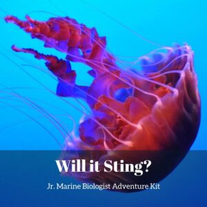 Will It Sting?- Kids Marine Biology Adventure Kit