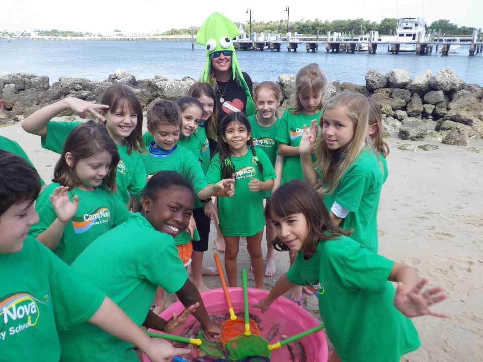 Students around a beach touch tank