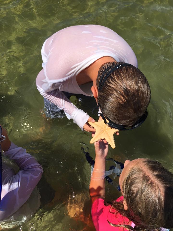 Campers examining a starfish