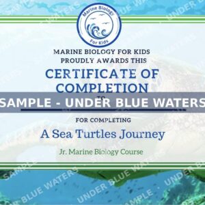 Jr. Marine Biologist certificate of completion - editable printable award for kids marine biology topics