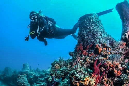 Maya Hawk, PADI scuba instructor and founder of Under Blue Waters, diving past a sponge-covered coral reef pillar in South Florida